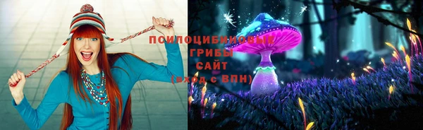 спайс Богданович