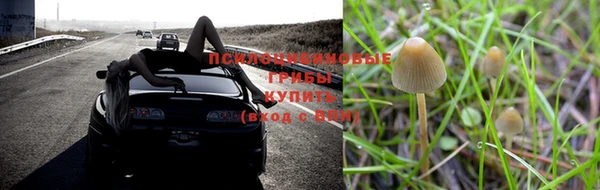 мяу мяу кристалл Богородицк